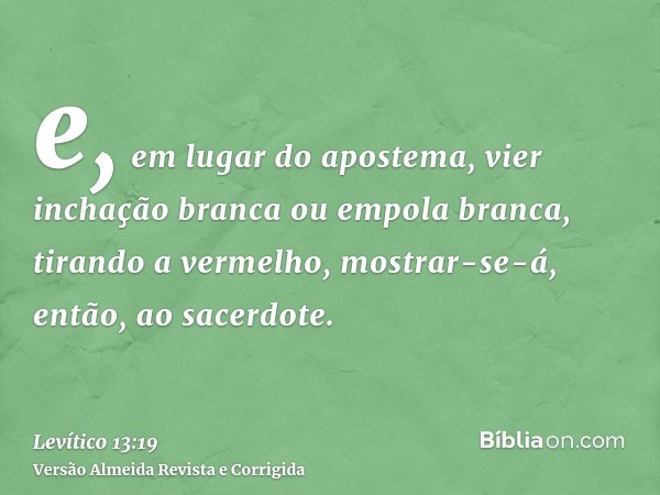 e, em lugar do apostema, vier inchação branca ou empola branca, tirando a vermelho, mostrar-se-á, então, ao sacerdote.
