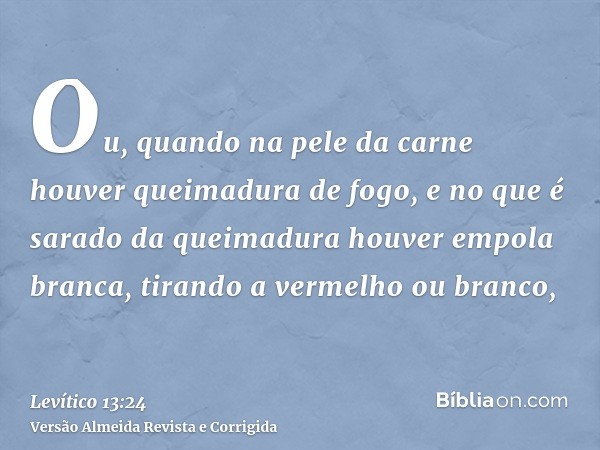 Ou, quando na pele da carne houver queimadura de fogo, e no que é sarado da queimadura houver empola branca, tirando a vermelho ou branco,