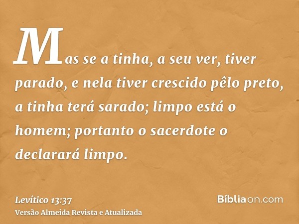 Mas se a tinha, a seu ver, tiver parado, e nela tiver crescido pêlo preto, a tinha terá sarado; limpo está o homem; portanto o sacerdote o declarará limpo.