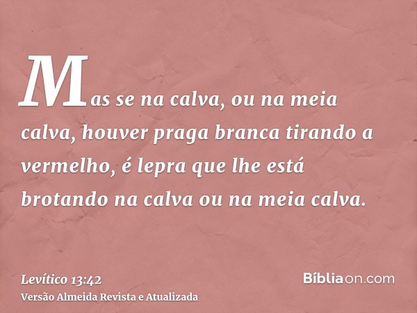 Mas se na calva, ou na meia calva, houver praga branca tirando a vermelho, é lepra que lhe está brotando na calva ou na meia calva.