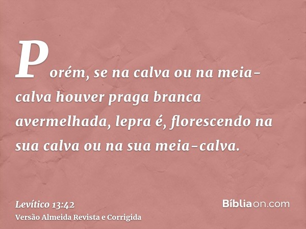 Porém, se na calva ou na meia-calva houver praga branca avermelhada, lepra é, florescendo na sua calva ou na sua meia-calva.