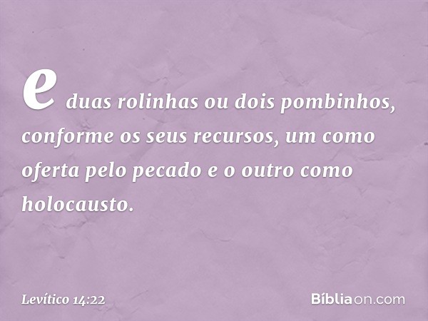 e duas rolinhas ou dois pombinhos, conforme os seus recursos, um como oferta pelo pe­cado e o outro como holocausto. -- Levítico 14:22