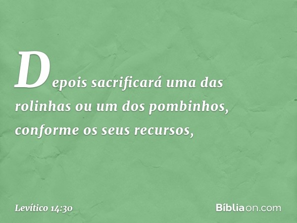 Depois sacrificará uma das rolinhas ou um dos pombinhos, conforme os seus recursos, -- Levítico 14:30