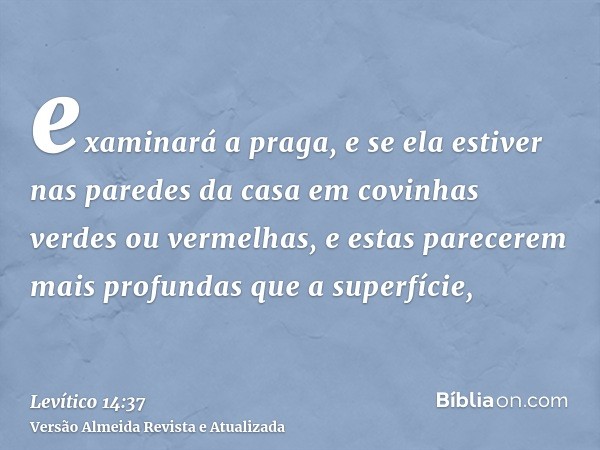 examinará a praga, e se ela estiver nas paredes da casa em covinhas verdes ou vermelhas, e estas parecerem mais profundas que a superfície,