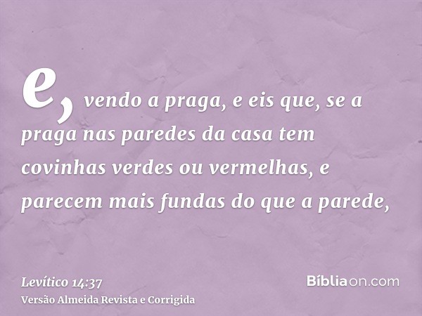 e, vendo a praga, e eis que, se a praga nas paredes da casa tem covinhas verdes ou vermelhas, e parecem mais fundas do que a parede,