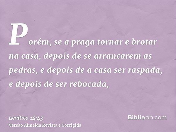 Porém, se a praga tornar e brotar na casa, depois de se arrancarem as pedras, e depois de a casa ser raspada, e depois de ser rebocada,