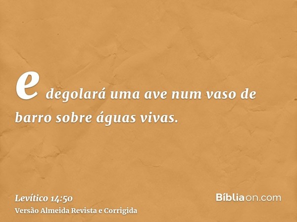 e degolará uma ave num vaso de barro sobre águas vivas.