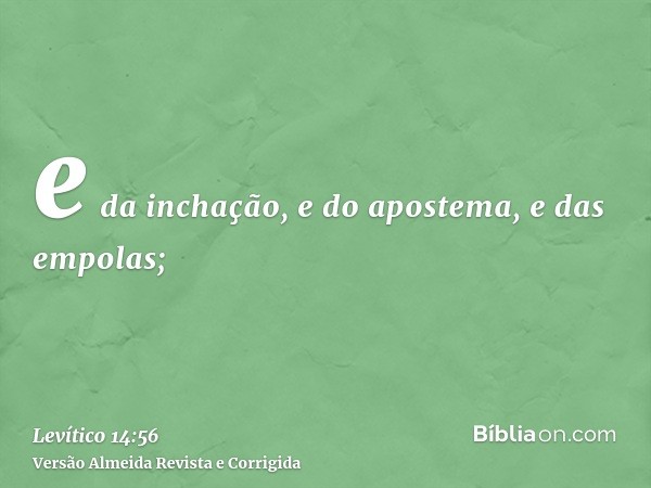e da inchação, e do apostema, e das empolas;