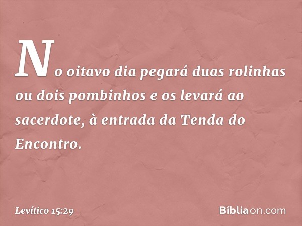 No oitavo dia pegará duas rolinhas ou dois pom­binhos e os levará ao sacerdote, à entrada da Tenda do Encontro. -- Levítico 15:29