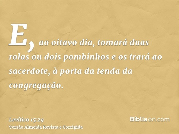 E, ao oitavo dia, tomará duas rolas ou dois pombinhos e os trará ao sacerdote, à porta da tenda da congregação.