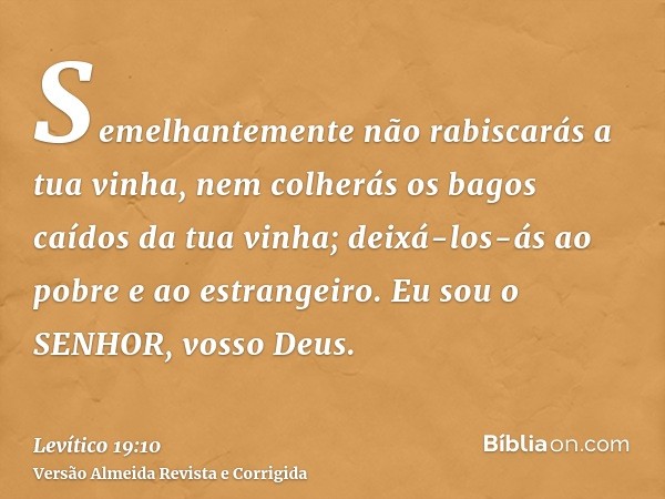 Semelhantemente não rabiscarás a tua vinha, nem colherás os bagos caídos da tua vinha; deixá-los-ás ao pobre e ao estrangeiro. Eu sou o SENHOR, vosso Deus.
