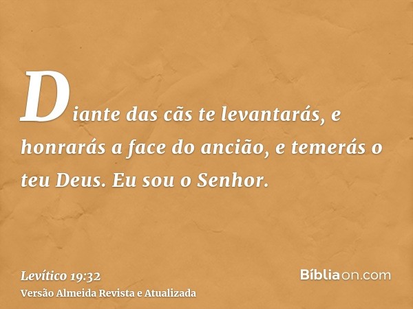 Diante das cãs te levantarás, e honrarás a face do ancião, e temerás o teu Deus. Eu sou o Senhor.