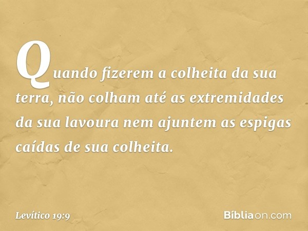 "Quando fizerem a colheita da sua ter­ra, não colham até as extremidades da sua ­la­voura nem ajuntem as espigas caídas de sua colheita. -- Levítico 19:9