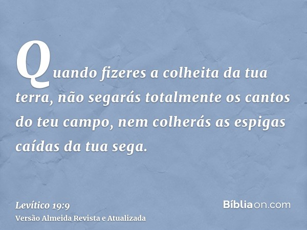 Quando fizeres a colheita da tua terra, não segarás totalmente os cantos do teu campo, nem colherás as espigas caídas da tua sega.