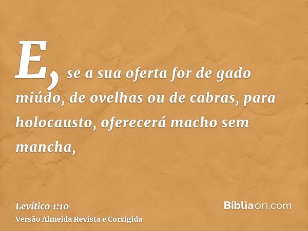 E, se a sua oferta for de gado miúdo, de ovelhas ou de cabras, para holocausto, oferecerá macho sem mancha,