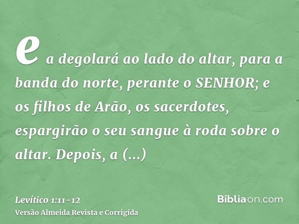 e a degolará ao lado do altar, para a banda do norte, perante o SENHOR; e os filhos de Arão, os sacerdotes, espargirão o seu sangue à roda sobre o altar.Depois,