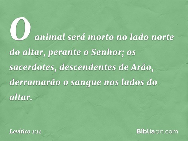 O animal será morto no lado norte do altar, perante o Senhor; os sacerdotes, descendentes de Arão, derrama­rão o sangue nos lados do altar. -- Levítico 1:11