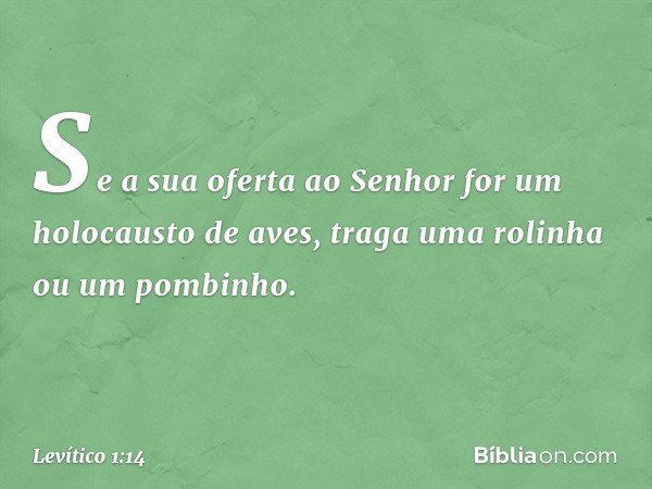 "Se a sua oferta ao Senhor for um holocausto de aves, traga uma rolinha ou um pombinho. -- Levítico 1:14