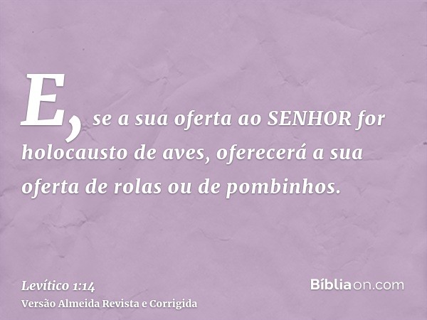 E, se a sua oferta ao SENHOR for holocausto de aves, oferecerá a sua oferta de rolas ou de pombinhos.