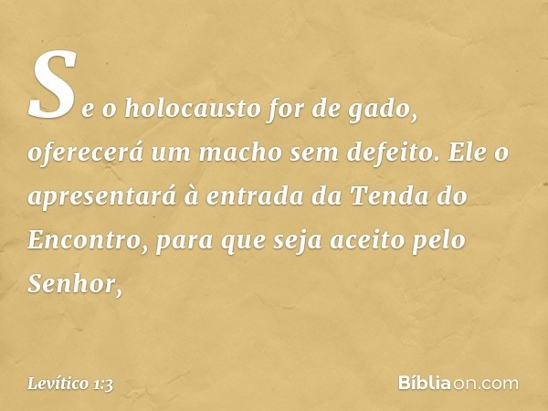 "Se o holocausto for de gado, oferecerá um macho sem defeito. Ele o apresentará à entrada da Tenda do Encontro, para que seja aceito pelo Senhor, -- Levítico 1: