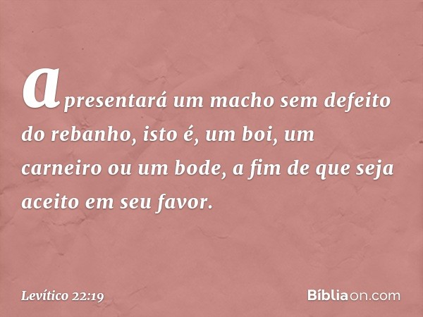 a­presentará um macho sem defeito do rebanho, isto é, um boi, um carneiro ou um bode, a fim de que seja aceito em seu favor. -- Levítico 22:19