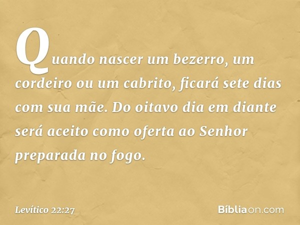 "Quando nascer um bezerro, um cordeiro ou um cabrito, ficará sete dias com sua mãe. Do oitavo dia em diante será aceito como oferta ao Senhor preparada no fogo.