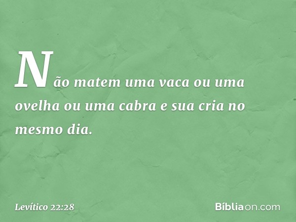 Não matem uma vaca ou uma ovelha ou uma cabra e sua cria no mesmo dia. -- Levítico 22:28