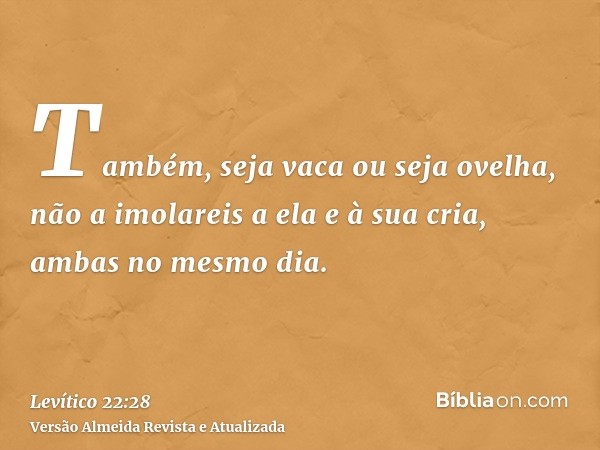 Também, seja vaca ou seja ovelha, não a imolareis a ela e à sua cria, ambas no mesmo dia.