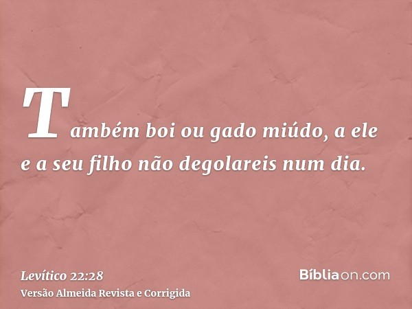 Também boi ou gado miúdo, a ele e a seu filho não degolareis num dia.