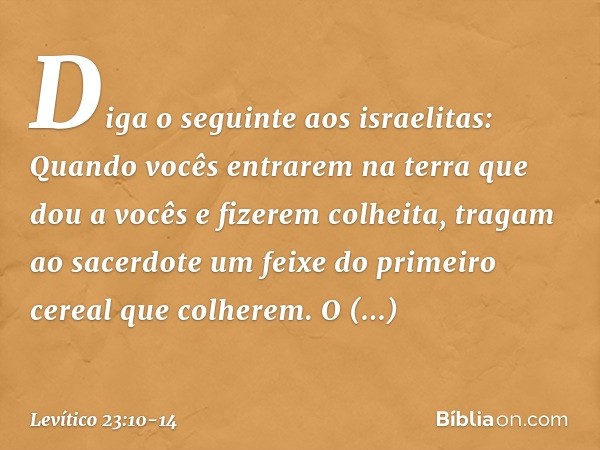 "Diga o seguinte aos israelitas: Quando vocês entrarem na terra que dou a vocês e fizerem colheita, tragam ao sacerdote um feixe do primeiro cereal que colherem