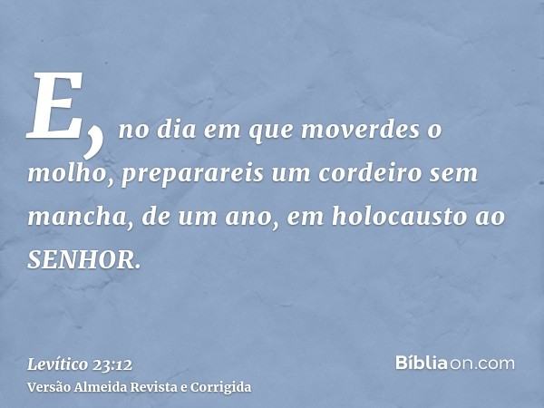 E, no dia em que moverdes o molho, preparareis um cordeiro sem mancha, de um ano, em holocausto ao SENHOR.