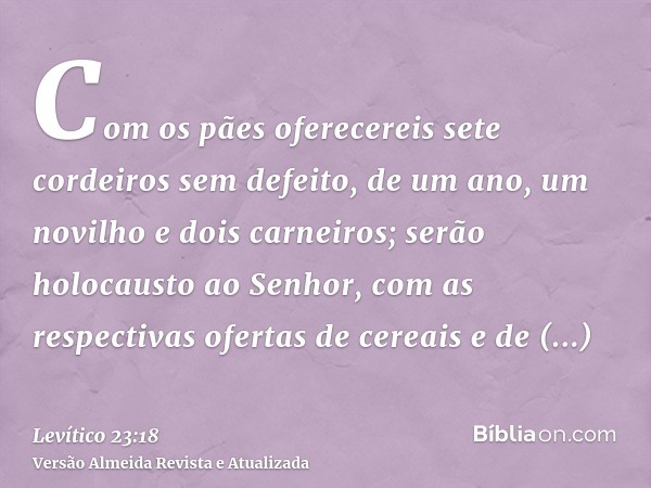 Com os pães oferecereis sete cordeiros sem defeito, de um ano, um novilho e dois carneiros; serão holocausto ao Senhor, com as respectivas ofertas de cereais e 