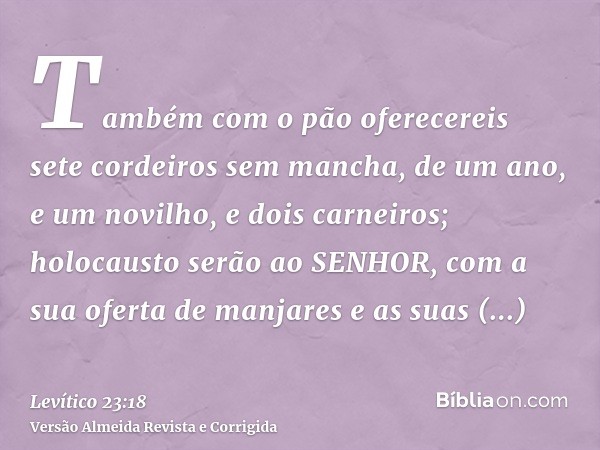 Também com o pão oferecereis sete cordeiros sem mancha, de um ano, e um novilho, e dois carneiros; holocausto serão ao SENHOR, com a sua oferta de manjares e as