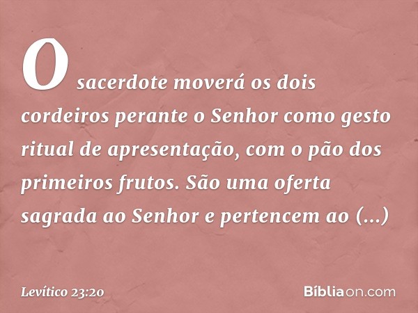 O sacerdote moverá os dois cordeiros perante o Senhor como gesto ritual de apre­sentação, com o pão dos primeiros frutos. São uma oferta sagrada ao Senhor e per