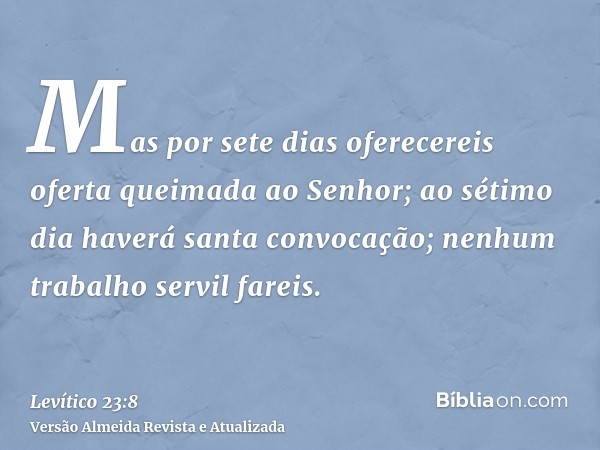 Mas por sete dias oferecereis oferta queimada ao Senhor; ao sétimo dia haverá santa convocação; nenhum trabalho servil fareis.