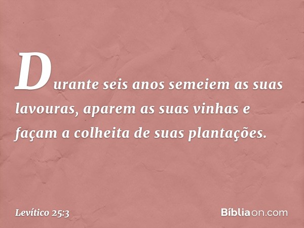 Durante seis anos semeiem as suas lavouras, aparem as suas vinhas e façam a colheita de suas plantações. -- Levítico 25:3