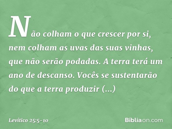 Não colham o que crescer por si, nem colham as uvas das suas vinhas, que não serão podadas. A terra terá um ano de descanso. Vocês se sustentarão do que a terra