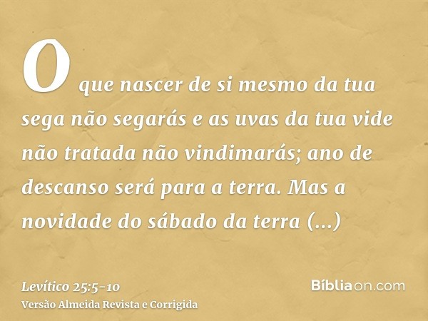 O que nascer de si mesmo da tua sega não segarás e as uvas da tua vide não tratada não vindimarás; ano de descanso será para a terra.Mas a novidade do sábado da