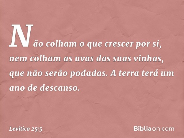 Não colham o que crescer por si, nem colham as uvas das suas vinhas, que não serão podadas. A terra terá um ano de descanso. -- Levítico 25:5