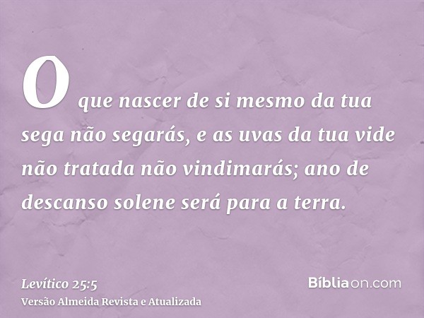 O que nascer de si mesmo da tua sega não segarás, e as uvas da tua vide não tratada não vindimarás; ano de descanso solene será para a terra.