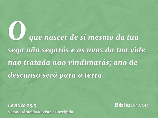 O que nascer de si mesmo da tua sega não segarás e as uvas da tua vide não tratada não vindimarás; ano de descanso será para a terra.