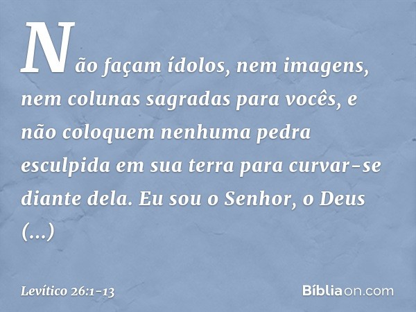 "Não façam ídolos, nem imagens, nem colunas sagradas para vocês, e não colo­quem nenhuma pedra esculpida em sua terra para curvar-se diante dela. Eu sou o Senho