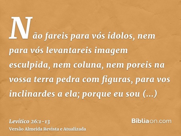 Não fareis para vós ídolos, nem para vós levantareis imagem esculpida, nem coluna, nem poreis na vossa terra pedra com figuras, para vos inclinardes a ela; porq