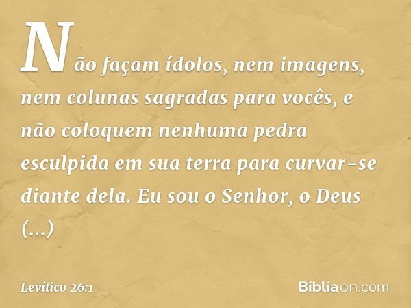 "Não façam ídolos, nem imagens, nem colunas sagradas para vocês, e não colo­quem nenhuma pedra esculpida em sua terra para curvar-se diante dela. Eu sou o Senho