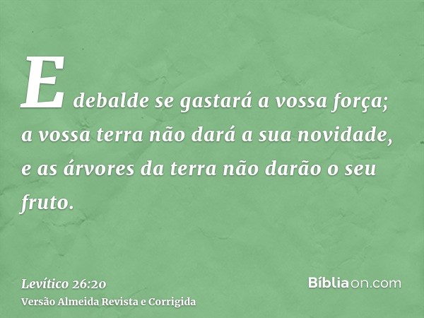 E debalde se gastará a vossa força; a vossa terra não dará a sua novidade, e as árvores da terra não darão o seu fruto.