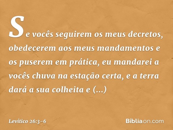 "Se vocês seguirem os meus decretos, obedecerem aos meus mandamentos e os puserem em prática, eu mandarei a vocês chuva na estação certa, e a terra dará a sua c