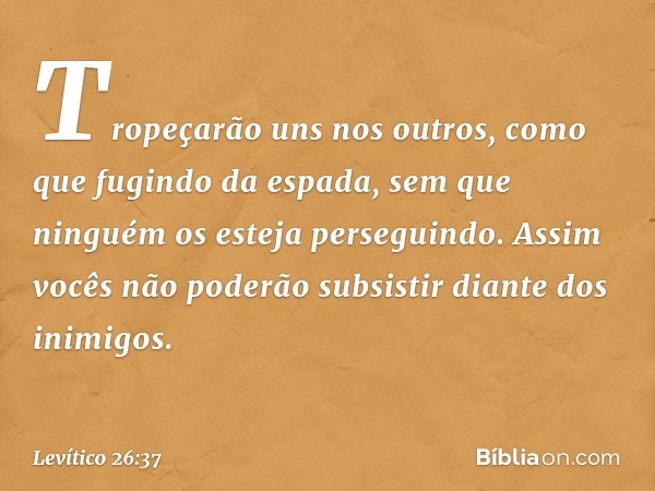 Tropeçarão uns nos outros, como que fugindo da espada, sem que ninguém os esteja perseguindo. Assim vocês não poderão subsistir diante dos inimigos. -- Levítico