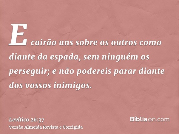 E cairão uns sobre os outros como diante da espada, sem ninguém os perseguir; e não podereis parar diante dos vossos inimigos.