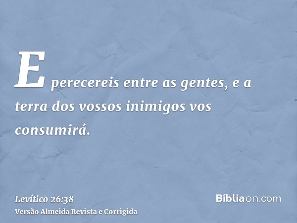 E perecereis entre as gentes, e a terra dos vossos inimigos vos consumirá.