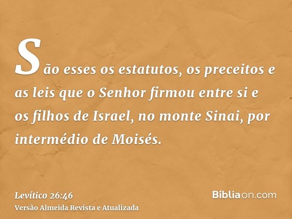 São esses os estatutos, os preceitos e as leis que o Senhor firmou entre si e os filhos de Israel, no monte Sinai, por intermédio de Moisés.